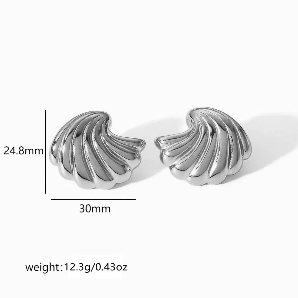 Aretes plateados de alas